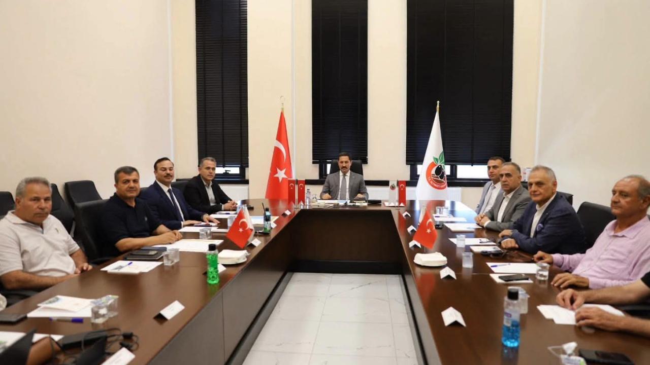 Otomatik Taslak