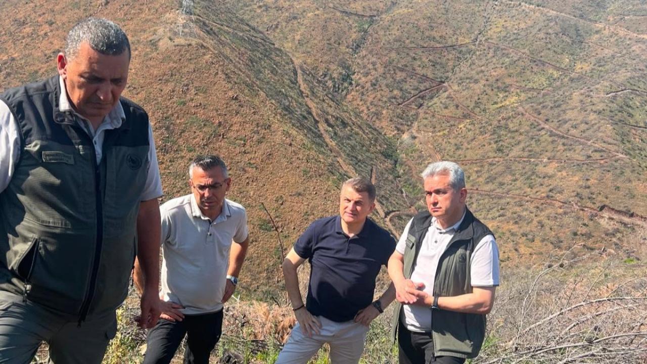 Hatay'da Orman Seferberliği