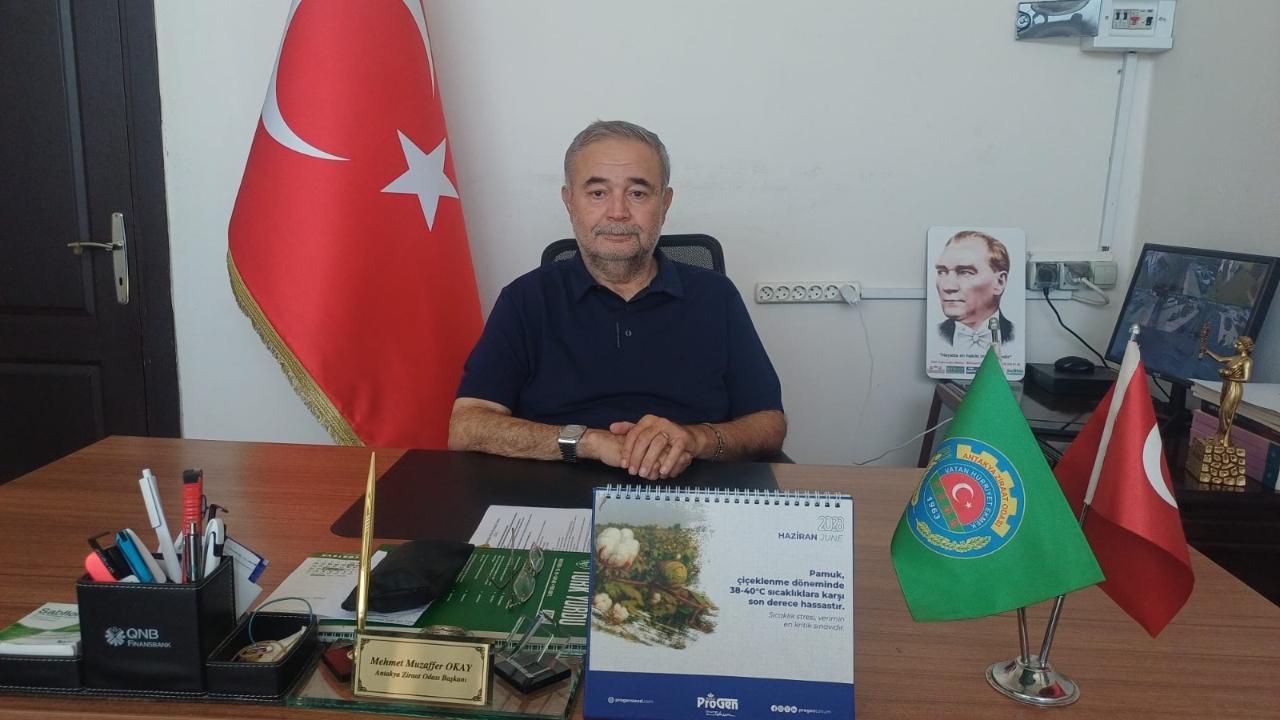 Otomatik Taslak