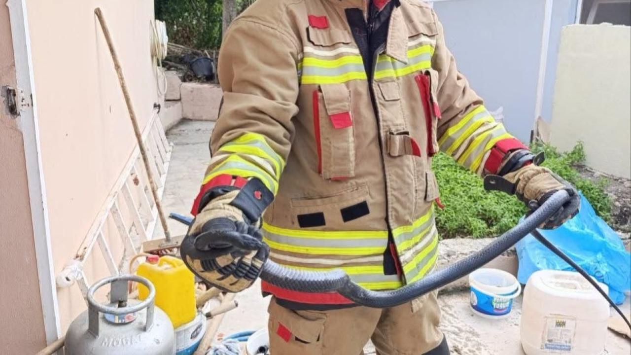 Havaların Isınmasıyla Yılan İhbarları Arttı