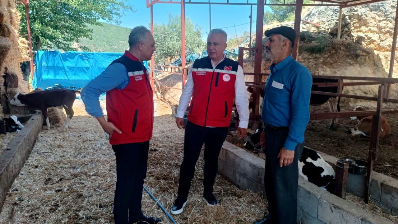 Hayvancılık İşletmesine Yerinde İnceleme