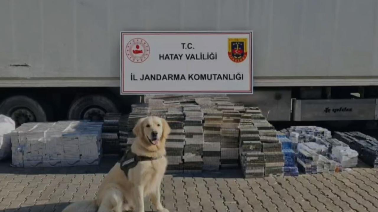 Jandarma’dan Kırıkhan’da Kaçakçılara Darbe