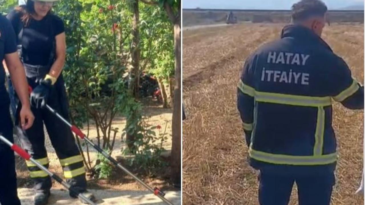 Mahalleye Giren Yılan Korkuttu