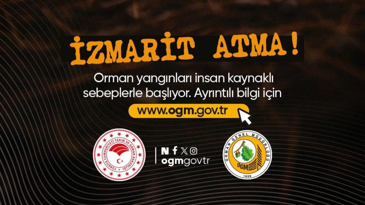Uzmanlar, Orman Yangınlarını Önlemenin Etkili Yollarını Anlattı